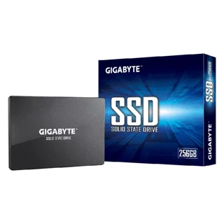 اس اس دی اینترنال گیگابایت مدل GP-GSTFS31256GTND ظرفیت 256 گیگابایت