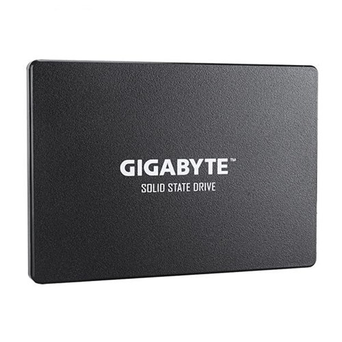 اس اس دی اینترنال گیگابایت  ظرفیت 1 ترابایت مدل GP-GSTFS31100TNTD