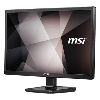 مانیتور ام اس آی 22 اینچ مدل PRO MP221